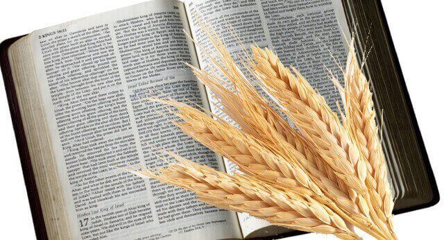 Bible